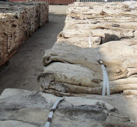 Dry Salted Donkey Hides