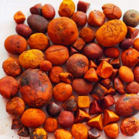 Ox Gallstones