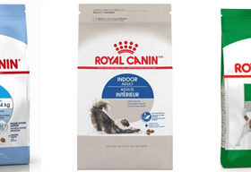 Royal Canin