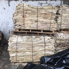 Wet Salted Camel Hides