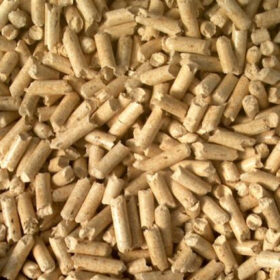 Wood Pellet